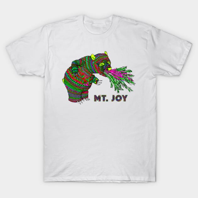 Mt. Joy T-Shirt by Old School Store